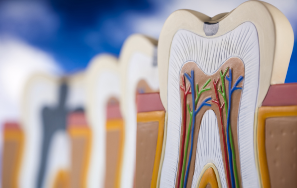 infection pulpaire paris douleur Traitement des dents à pulpe vivante Dentiste Dr Attuil Régis | Endodontie à Paris 17